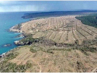 KAMU KAYNAĞI YENİLENEBİLİRE YÖNLENDİRİLSİN